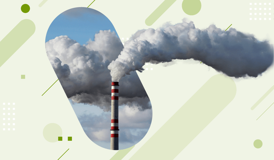 Emisiones de CO2: cómo compensar las emisiones de dióxido de carbono