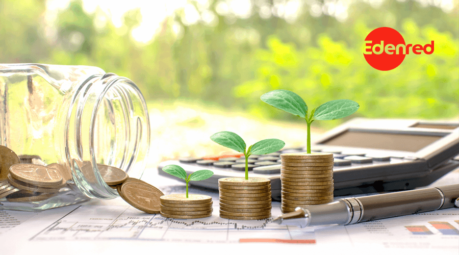 ¿Cómo garantizar unas finanzas sustentables en tu empresa?