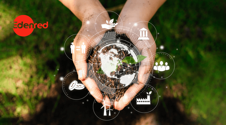 15 estrategias de sustentabilidad en empresas